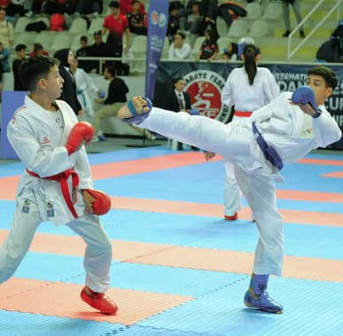 High kick during a kumite match, Dardanelles Cup
